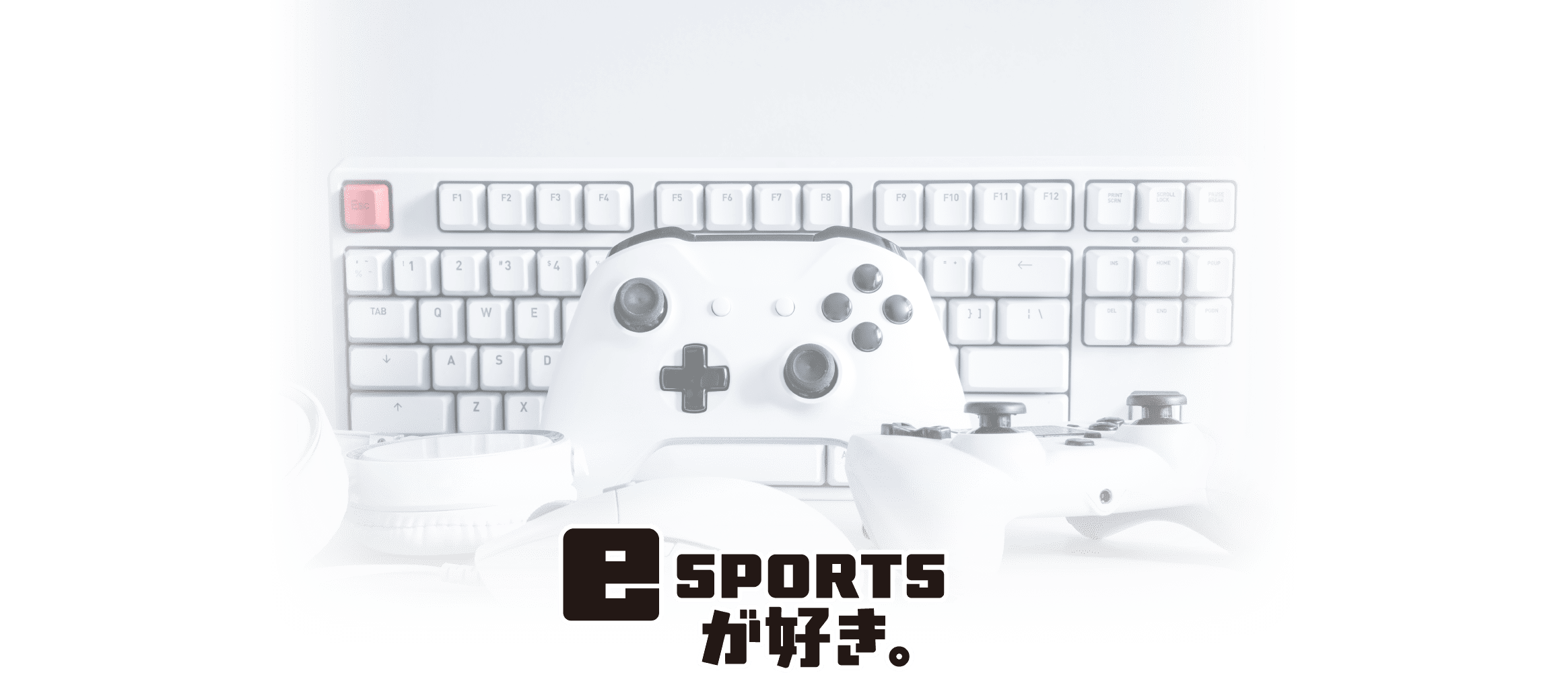 e SPORTSが好き